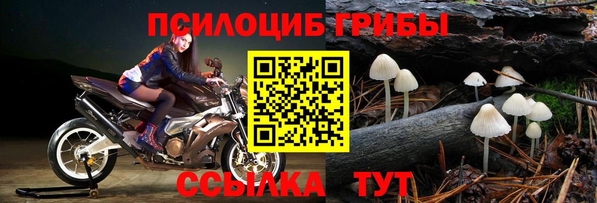 Псилоцибиновые грибы мицелий  Псилоцибиновые грибы Magic Shrooms  дарнет шоп  Вход с VPN  Семёнов 